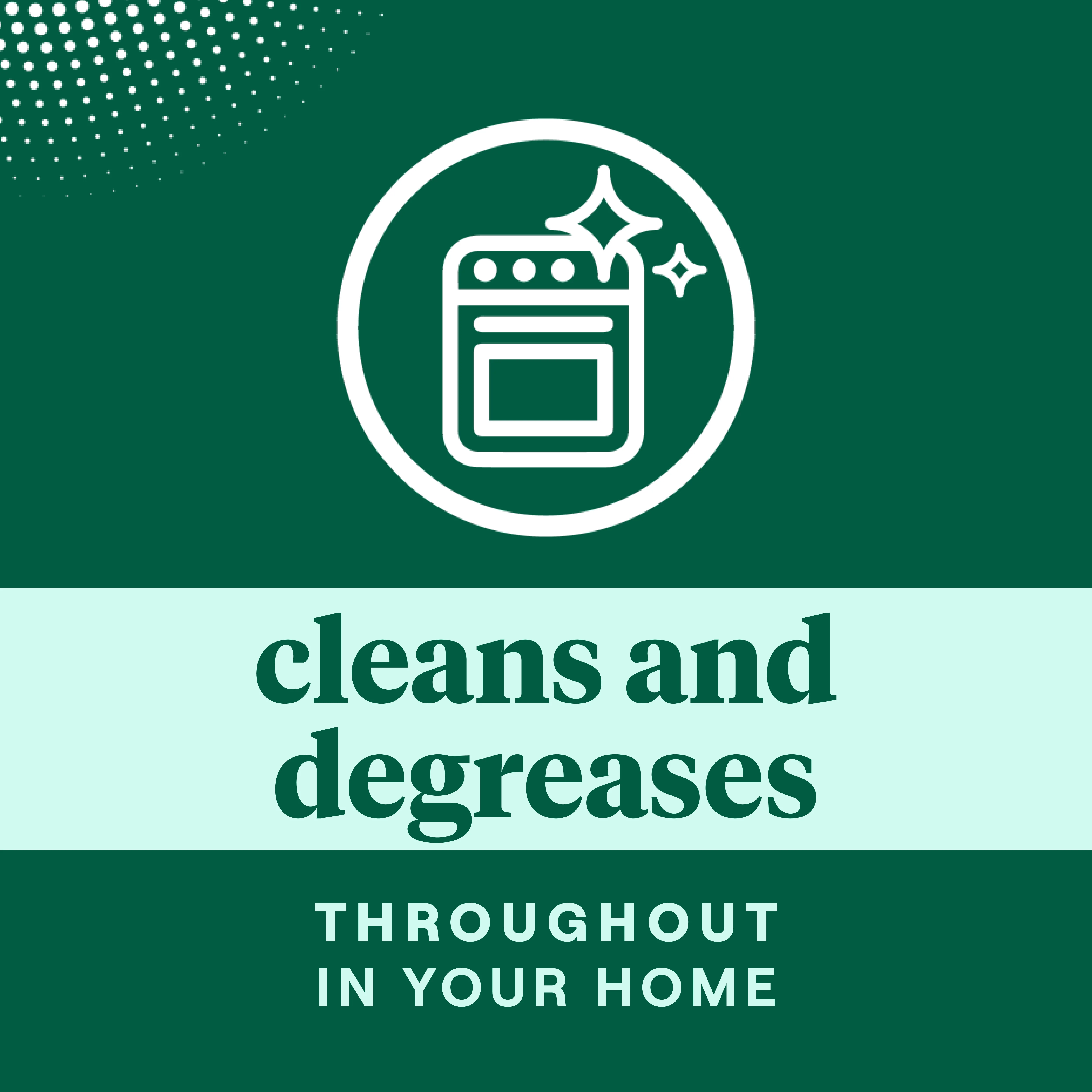 All Purpose Cleaner - Image 22