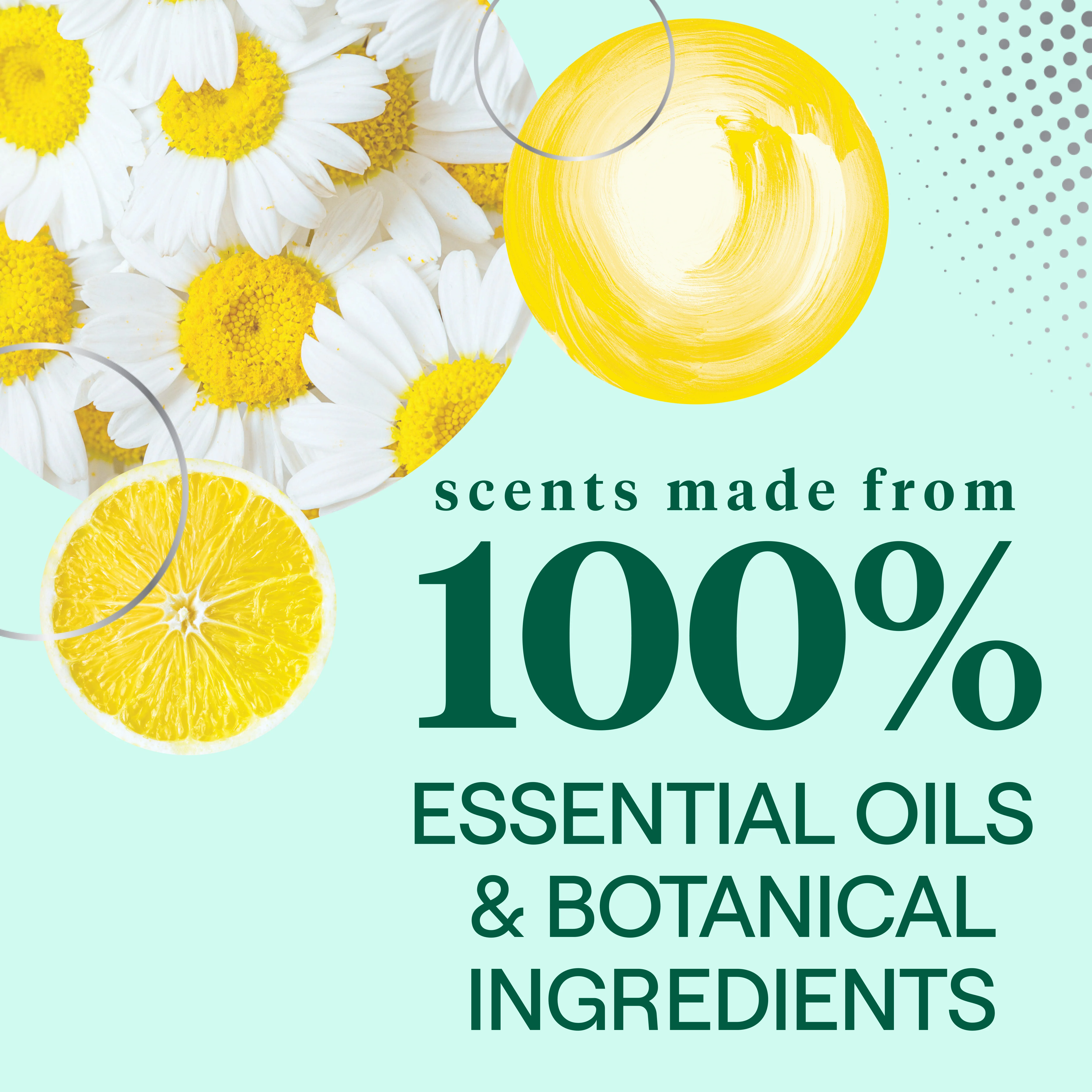 All Purpose Cleaner - Image 36