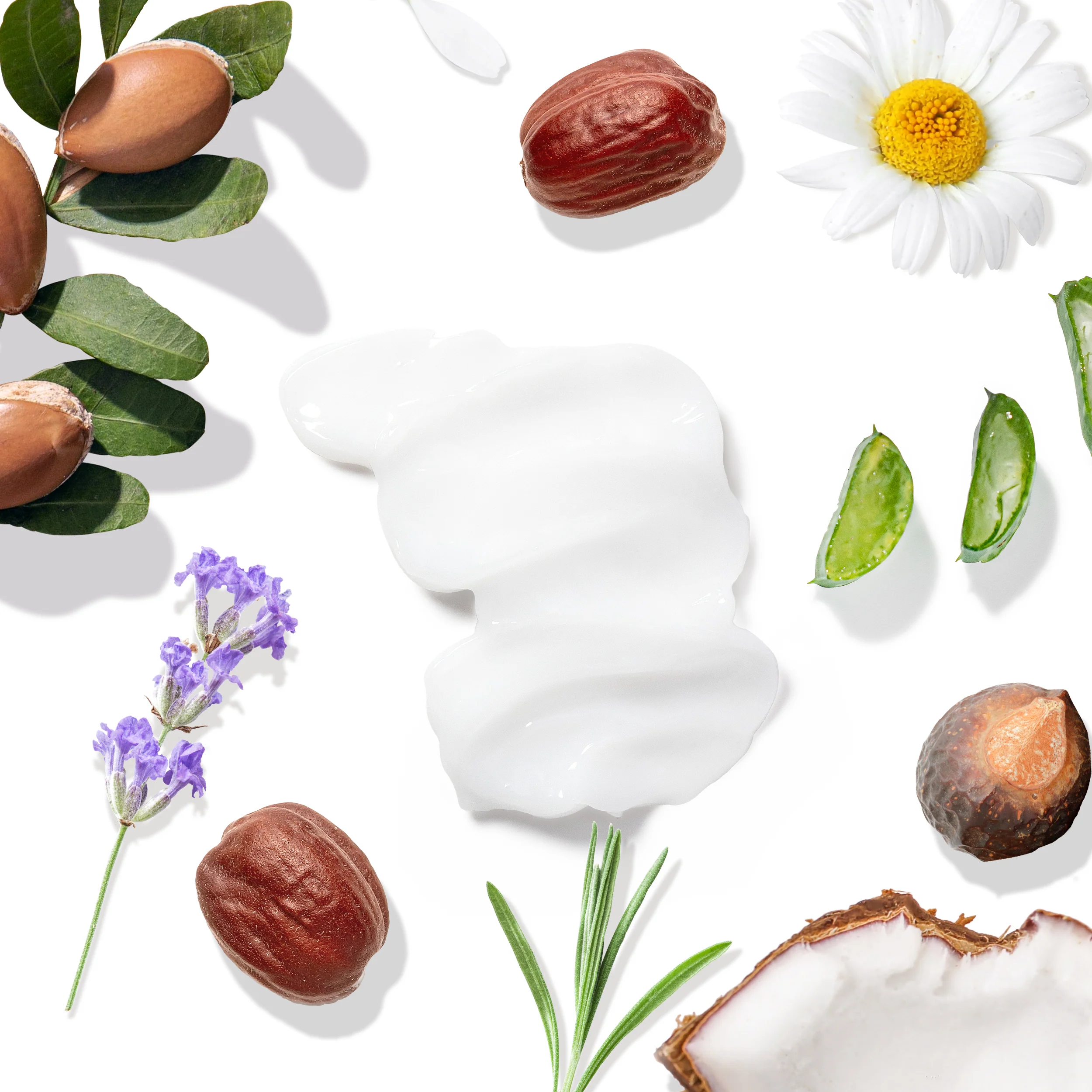 Hydrating Argan Oil Conditioner for Dry Hair & Scalp - Image 4