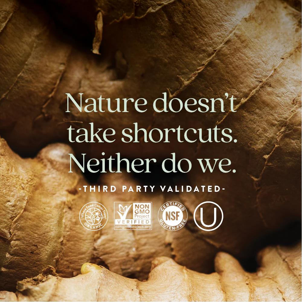 Fermented Coenzyme B Complex, Energy & Nervous System Support - Image 19