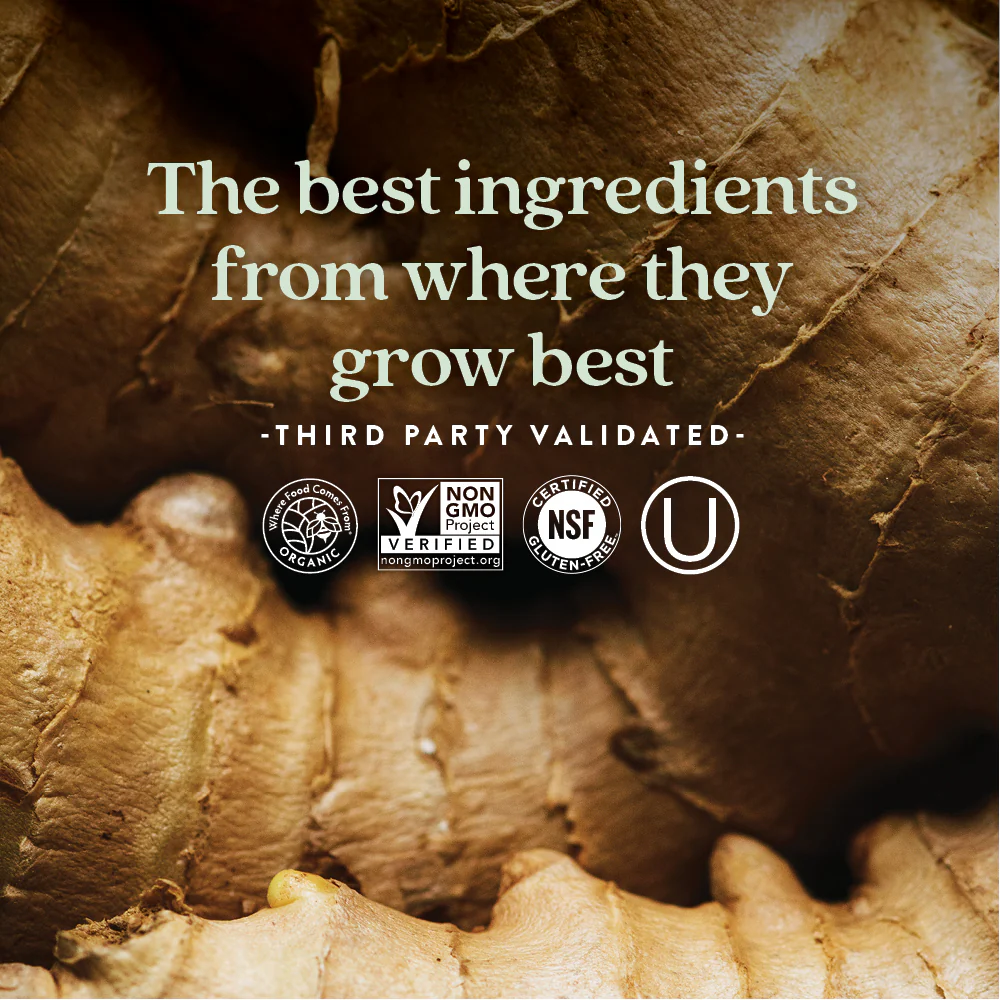 Fermented Coenzyme B Complex, Energy & Nervous System Support - Image 8