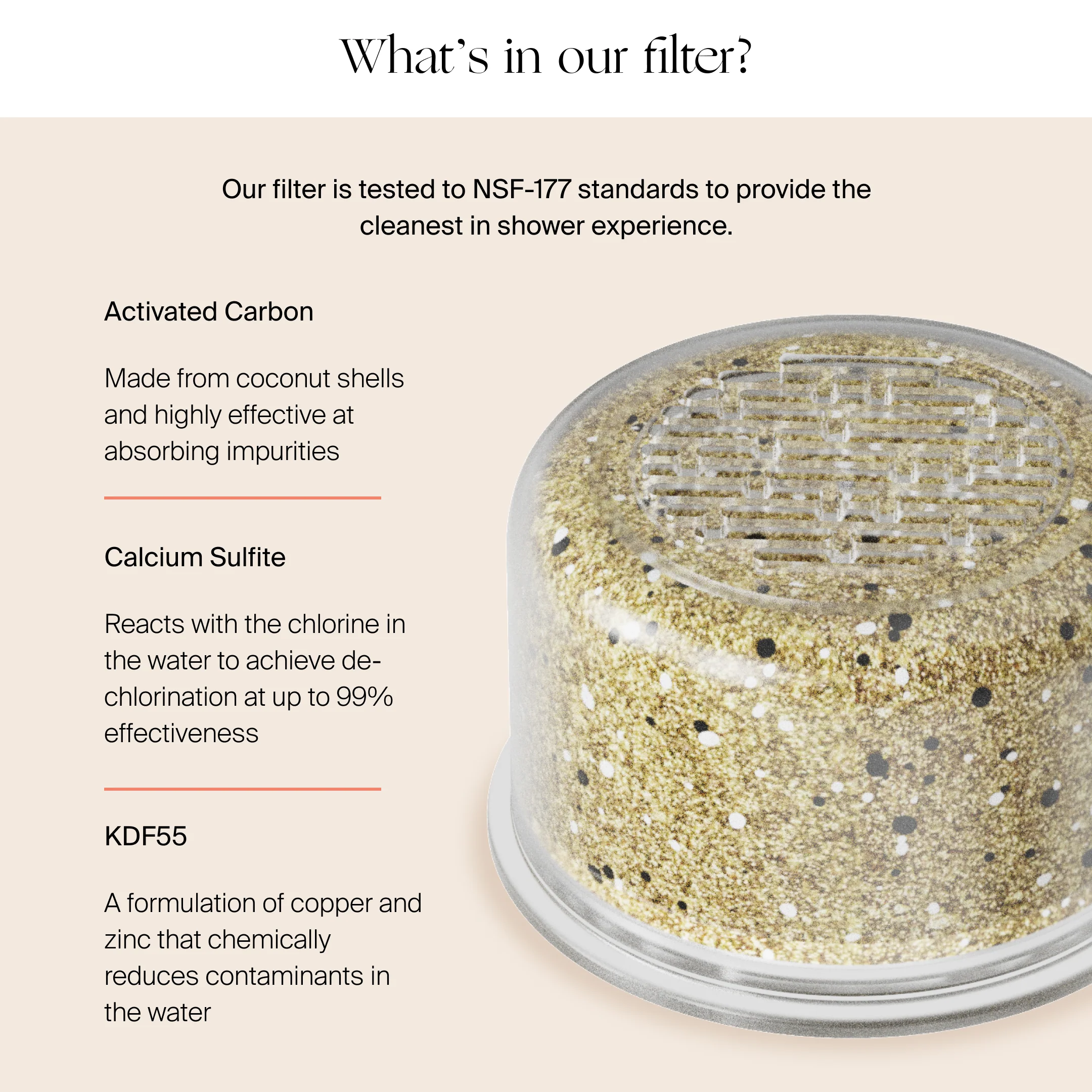 Filtered Handheld Showerhead - Image 4