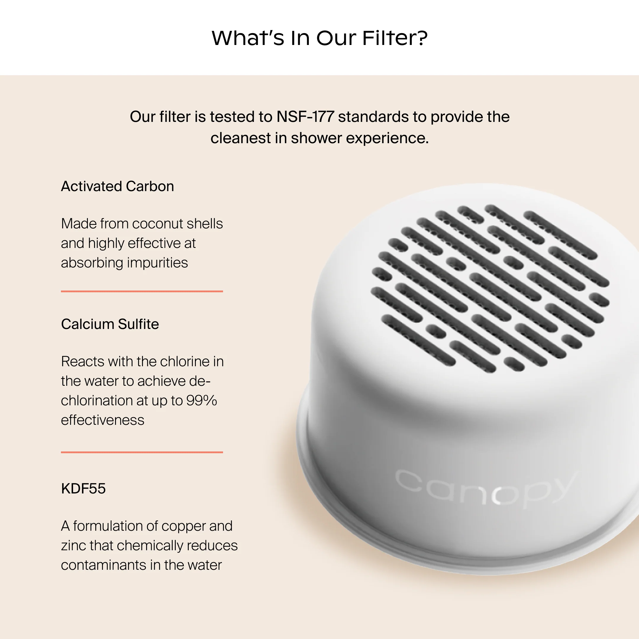 Filtered Showerhead - Image 7