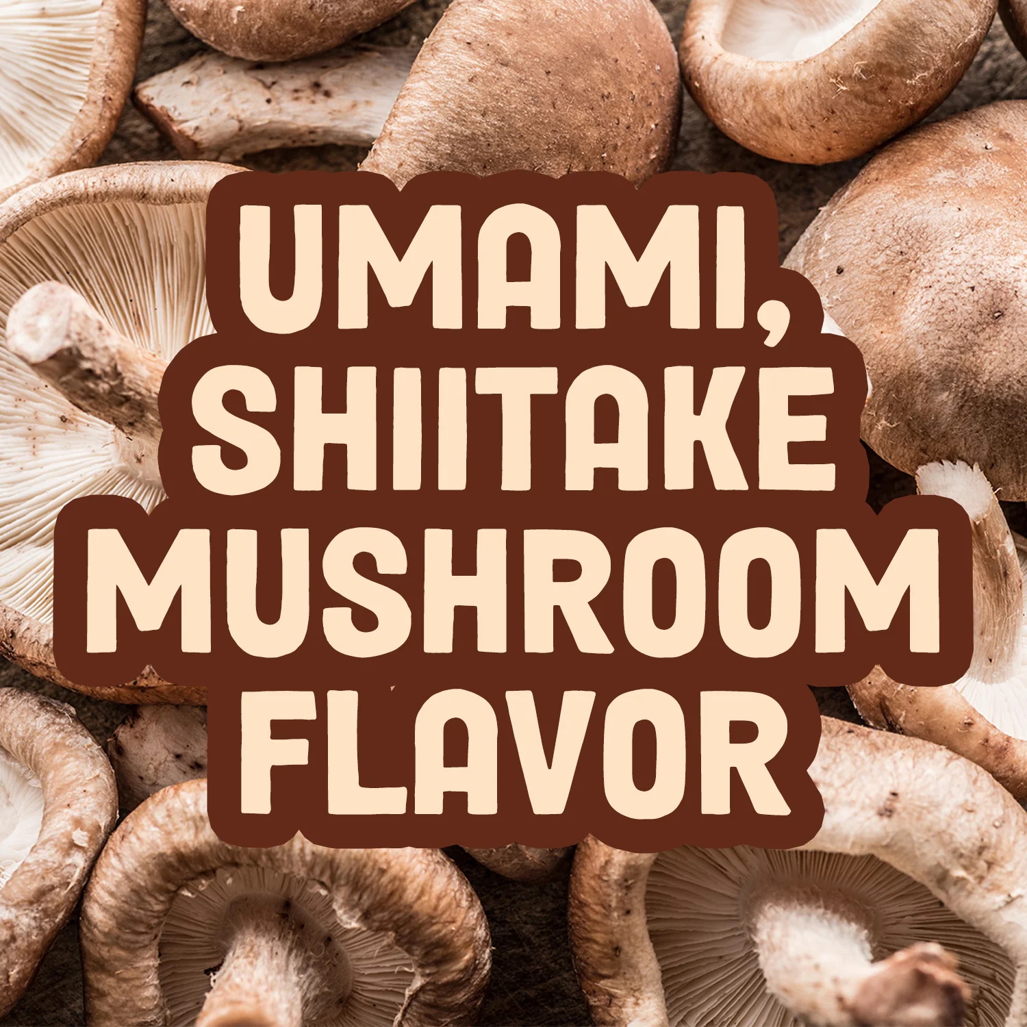 Teriyaki Mushroom Jerky - Image 8