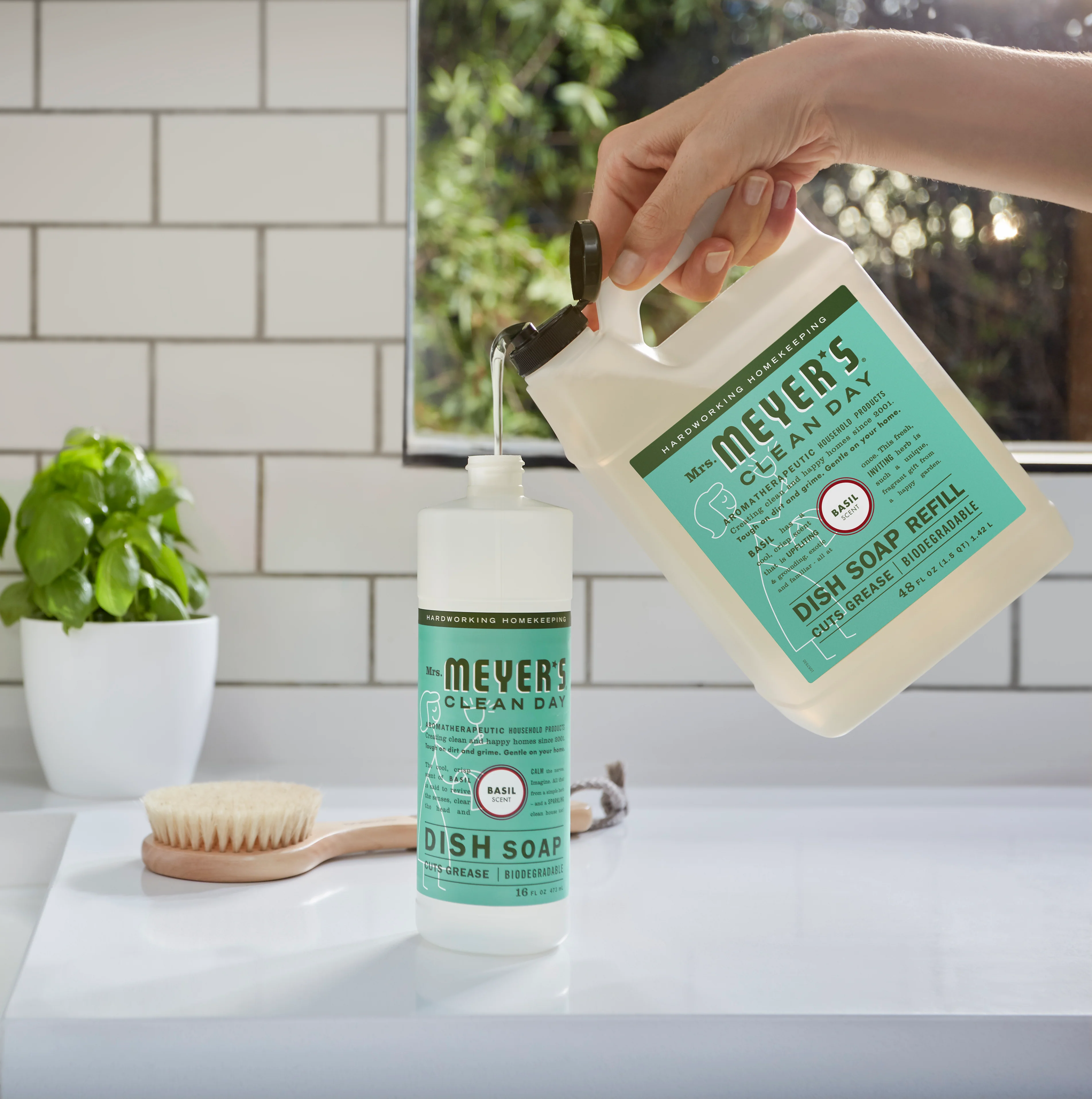 Dish Soap Refill - Image 9