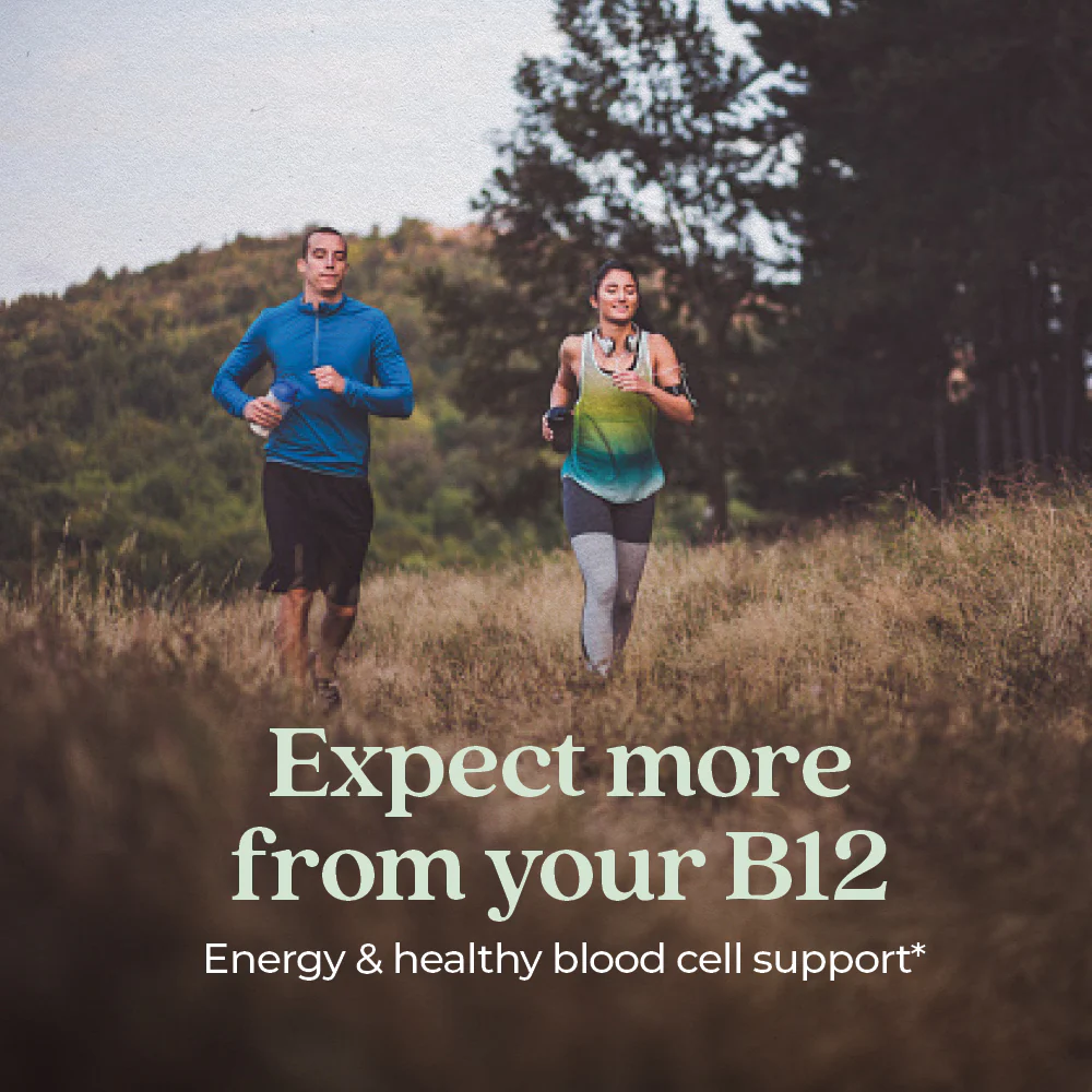 Fermented Vitamin B12 - For Cellular Energy + Healthy Blood Cells - Image 5