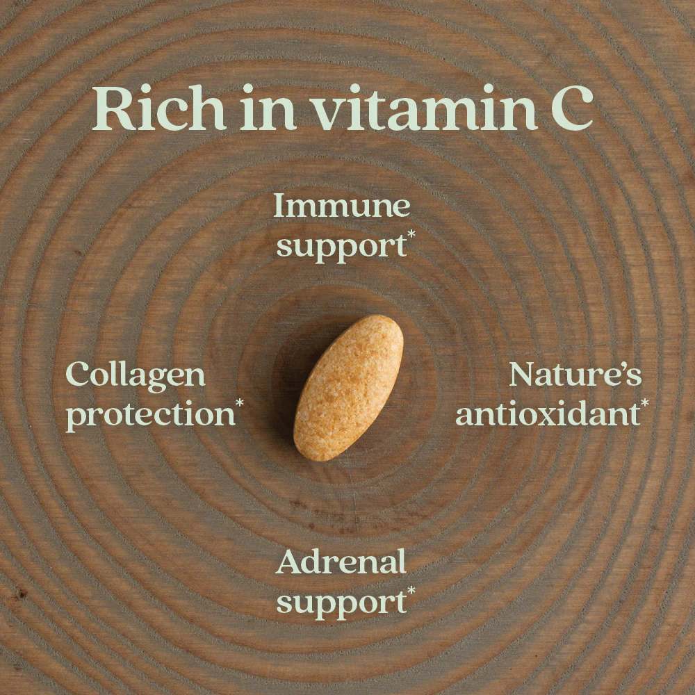 Fermented Vitamin C Supplement - Image 5