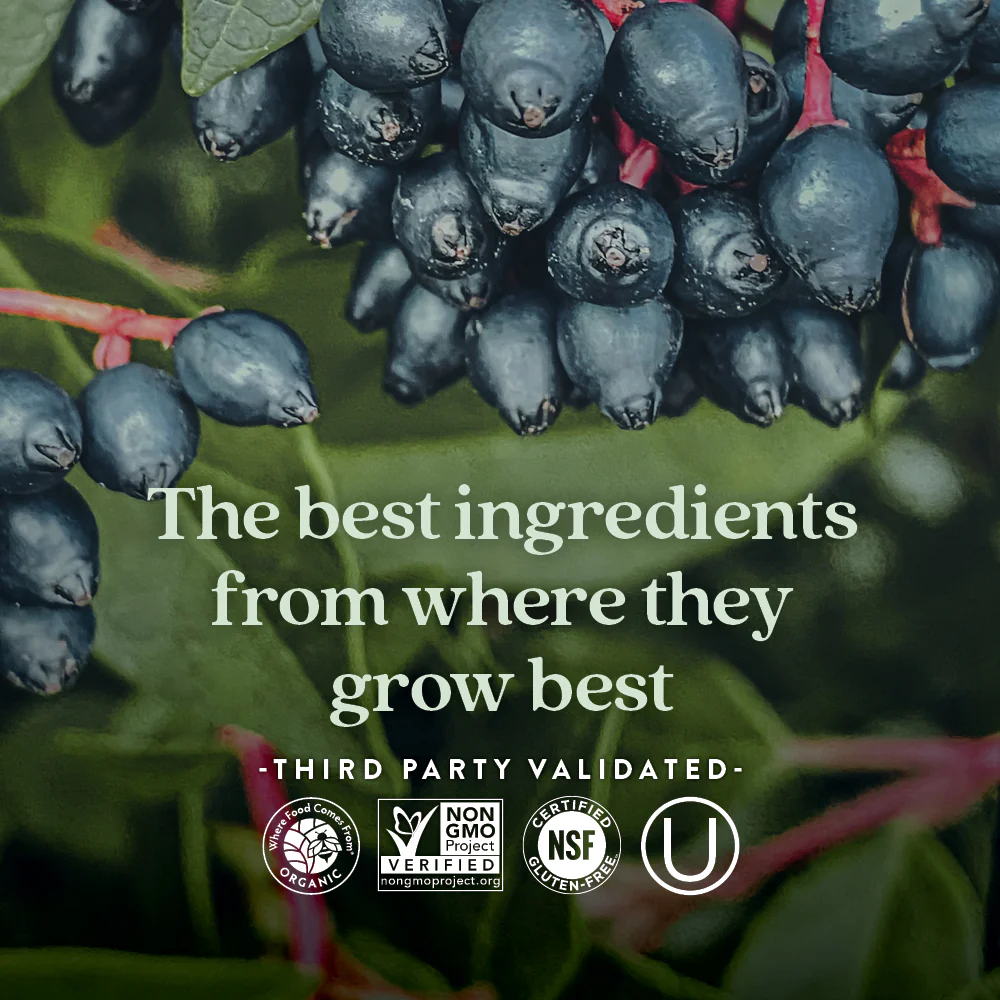 Fermented Vitamin C Supplement - Image 6