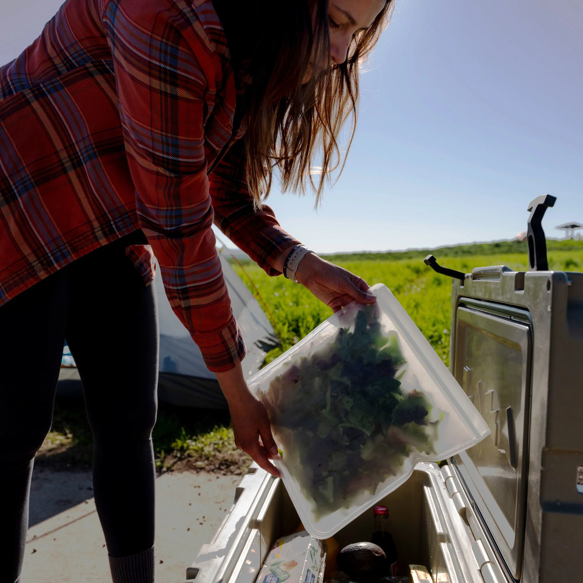 Flat Gallon Bag - Image 4