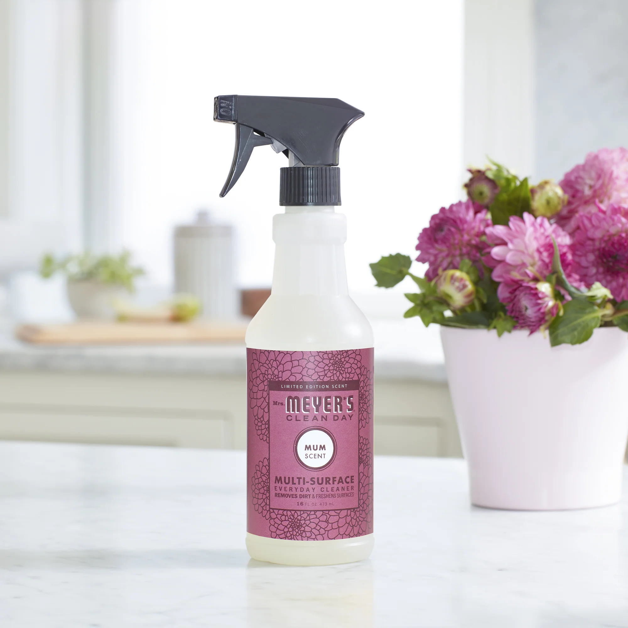 Multi-Surface Cleaner - Image 101