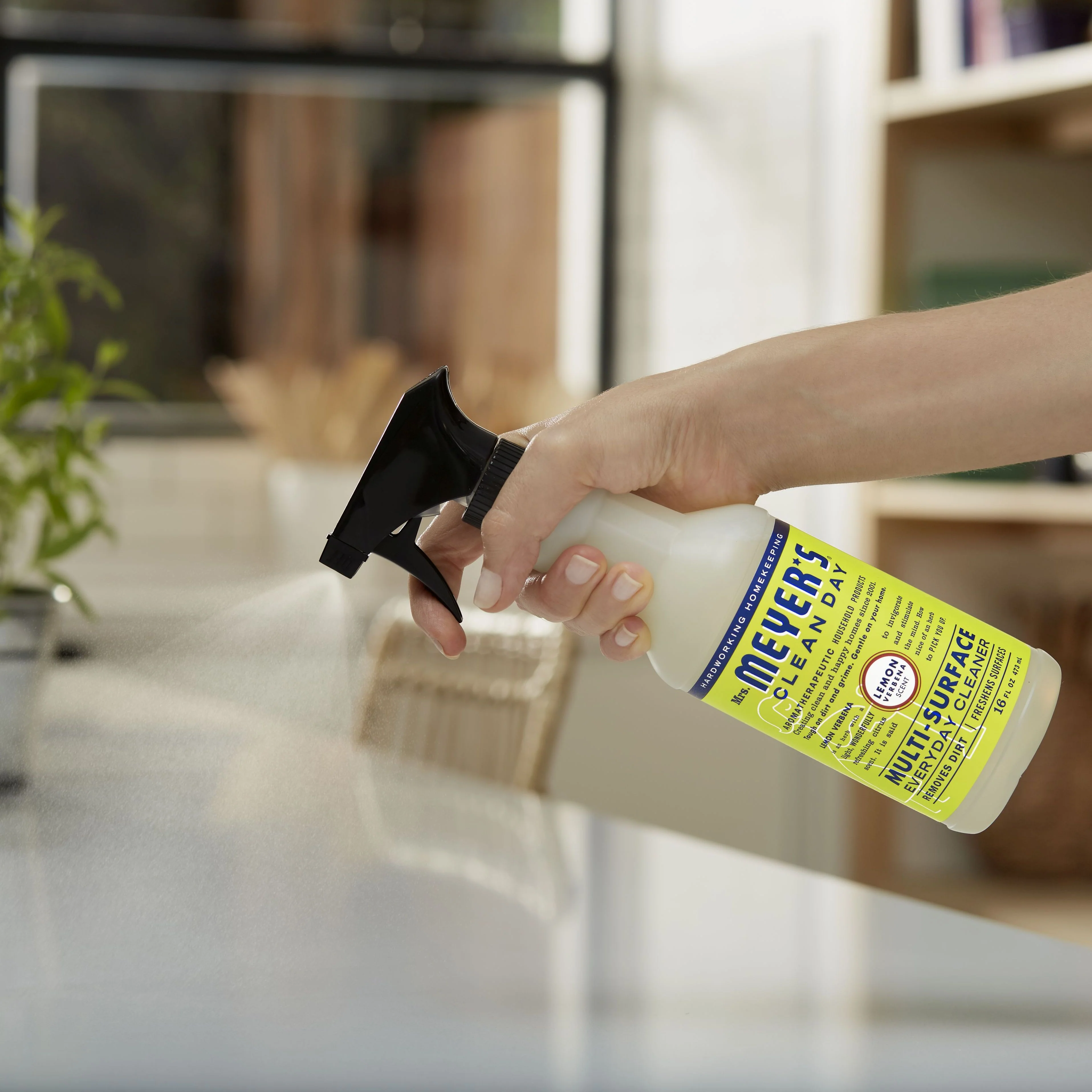 Multi-Surface Cleaner - Image 48