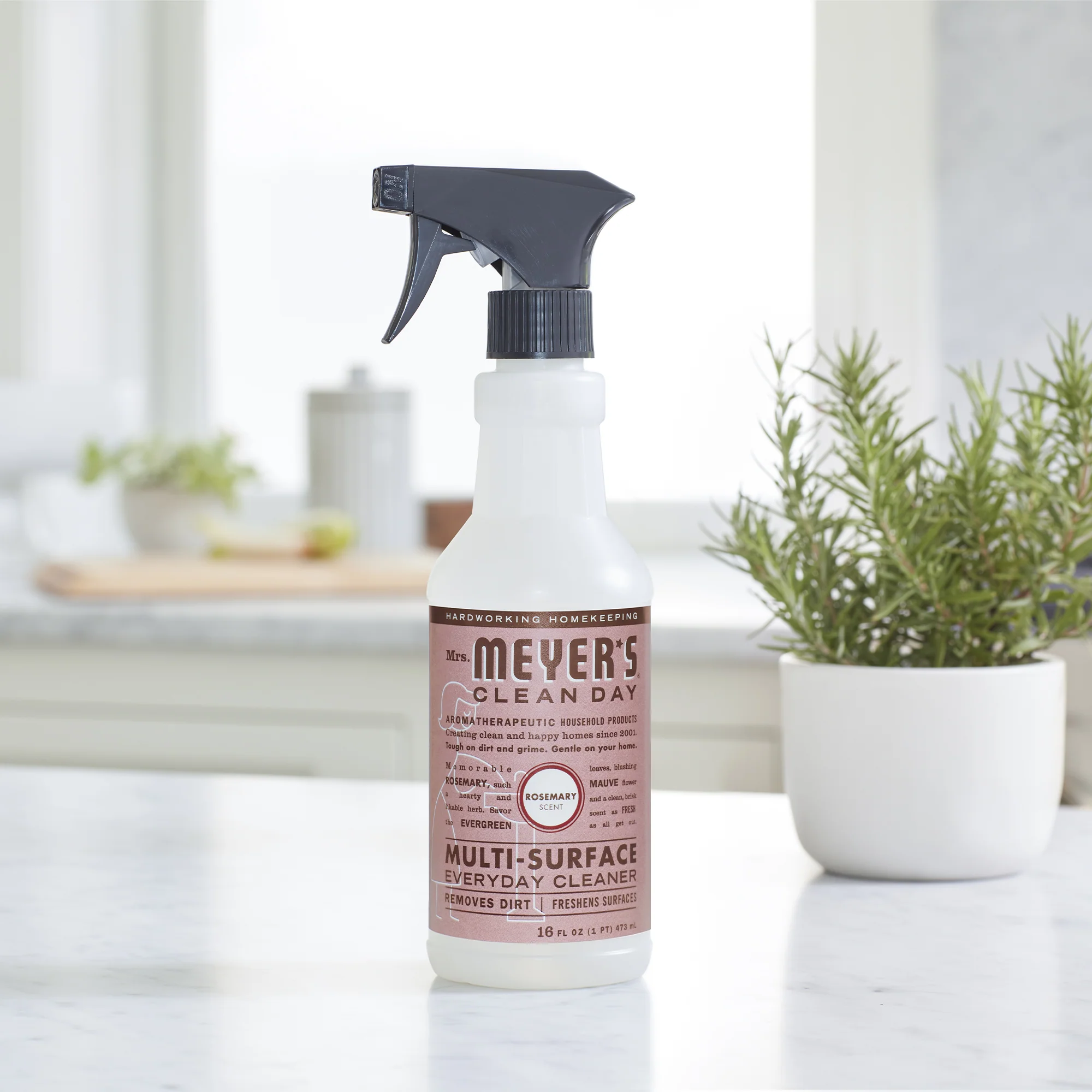 Multi-Surface Cleaner - Image 81