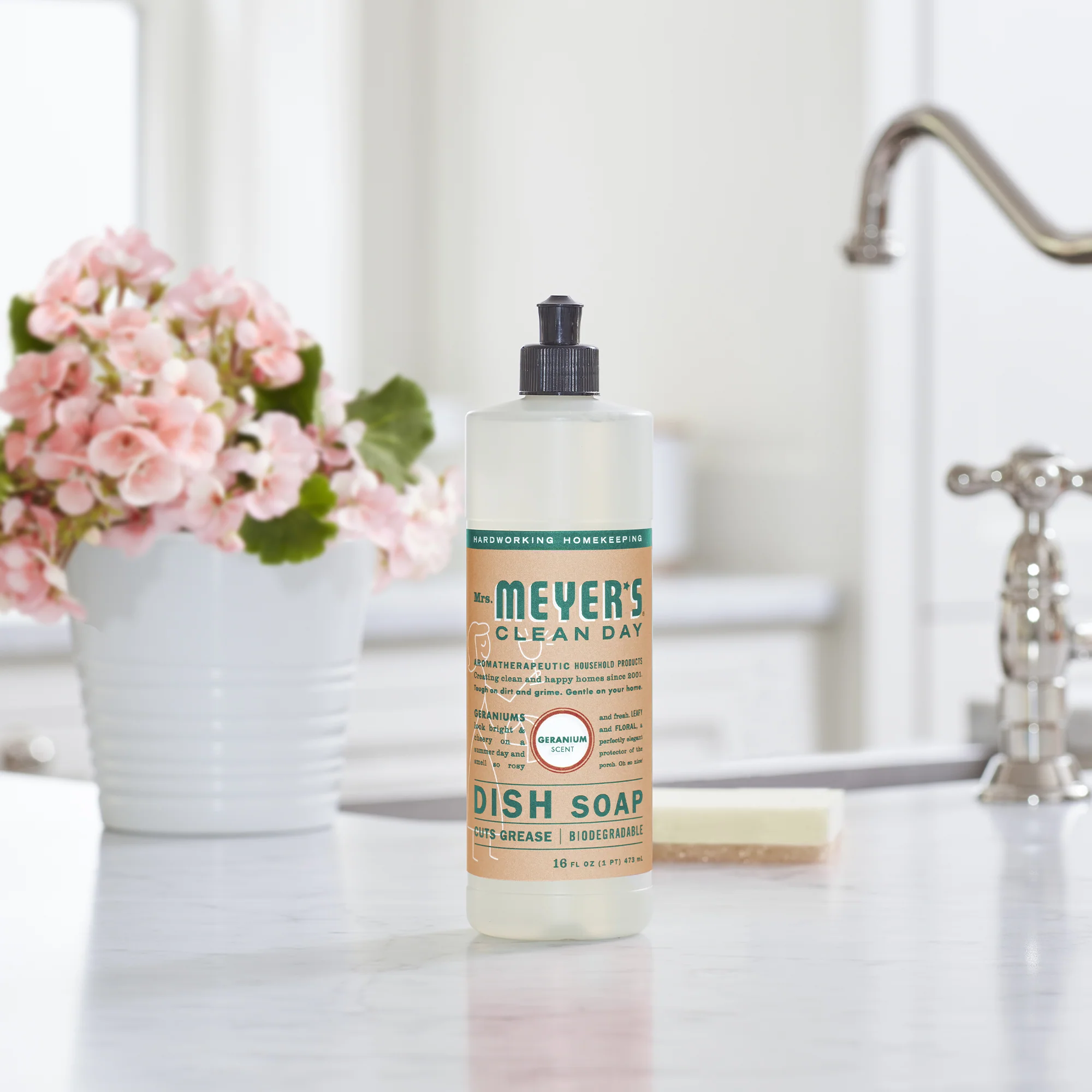 Dish Soap - Image 20