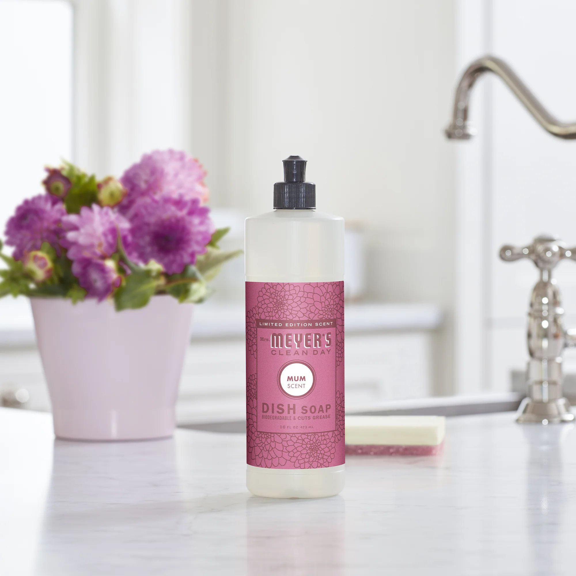 Dish Soap - Image 24