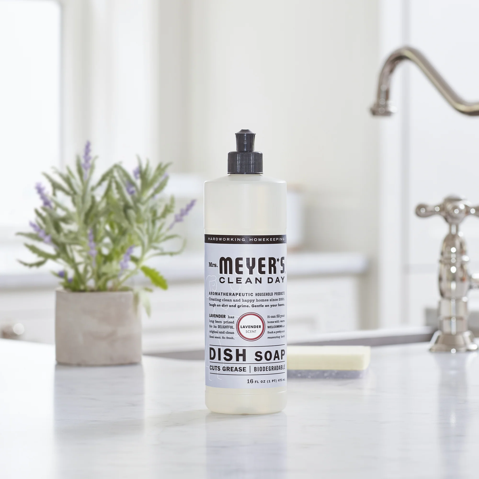 Dish Soap - Image 57