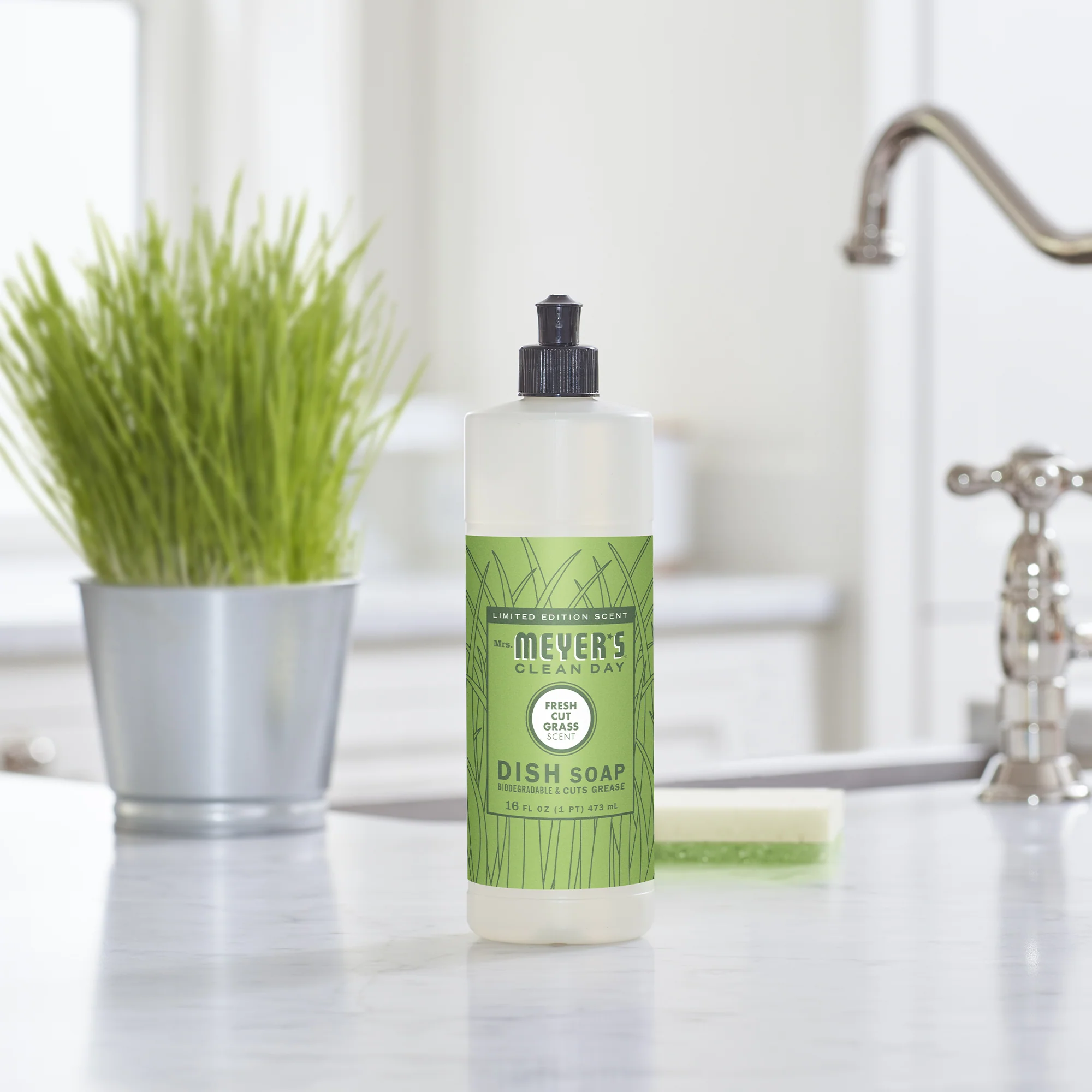 Dish Soap - Image 60