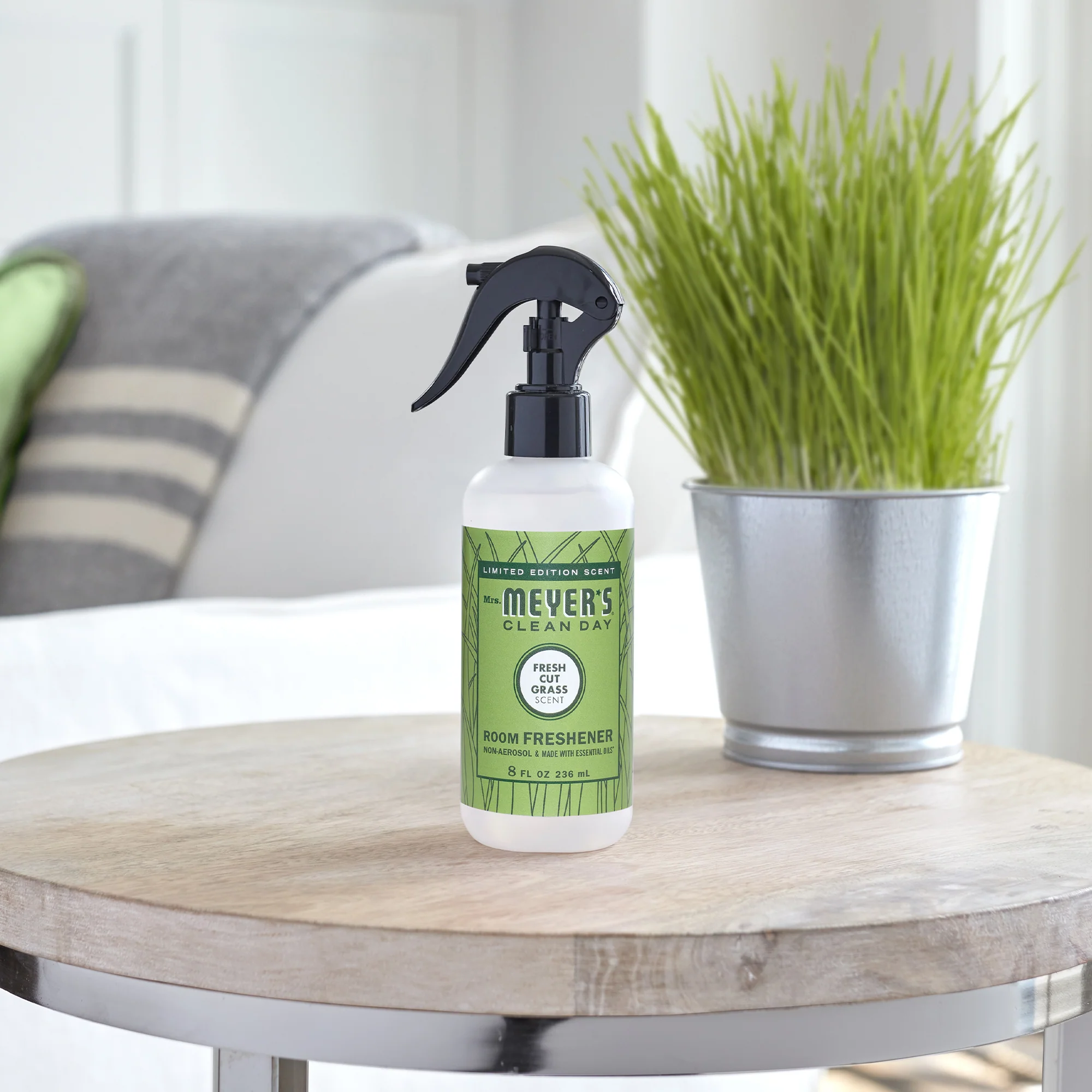 Room Freshener - Image 55