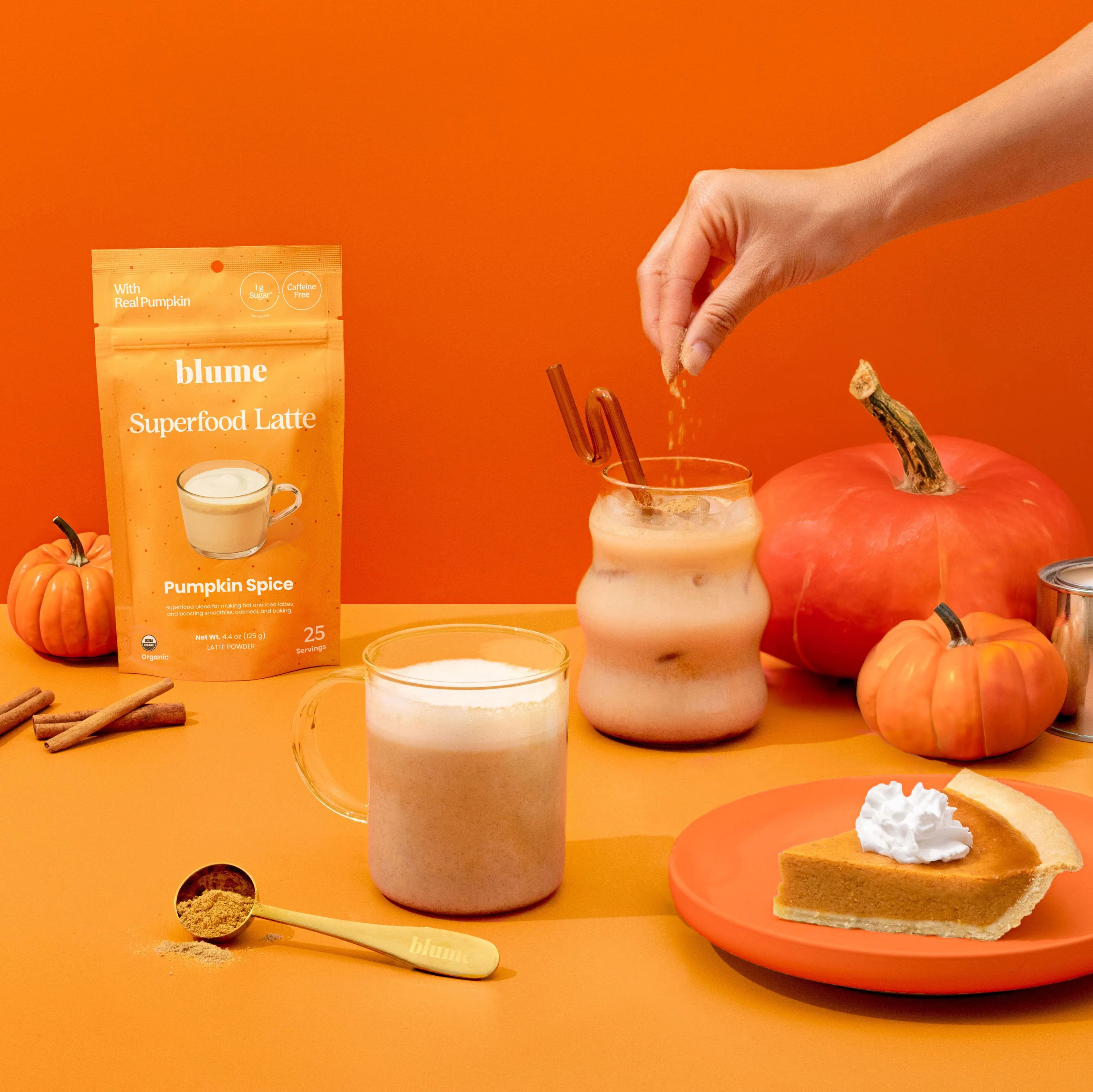 Organic Pumpkin Spice Latte Powder - Image 3