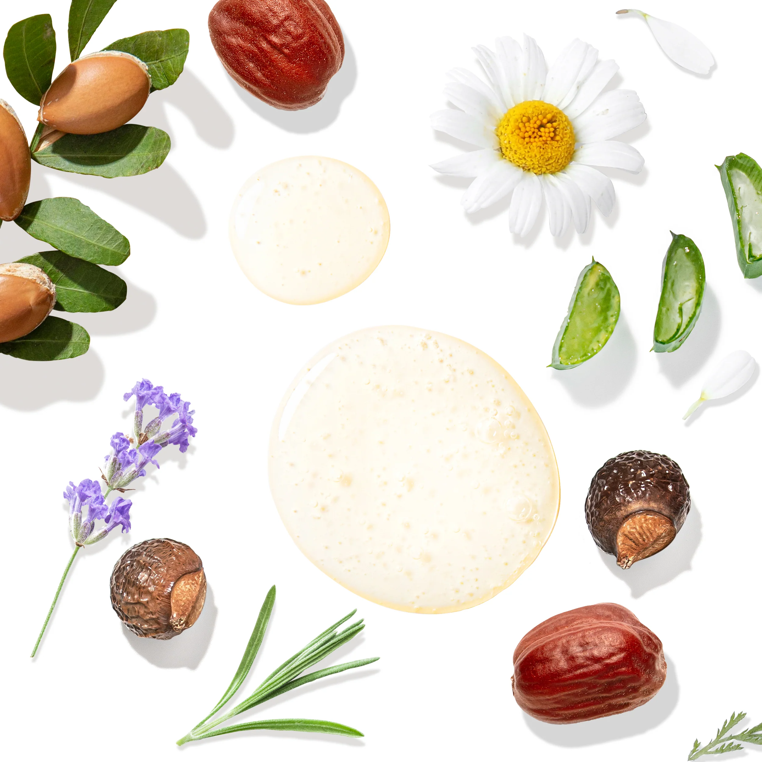 Argan Oil Hydrating Shampoo for Dry Scalp & Hair - Image 3