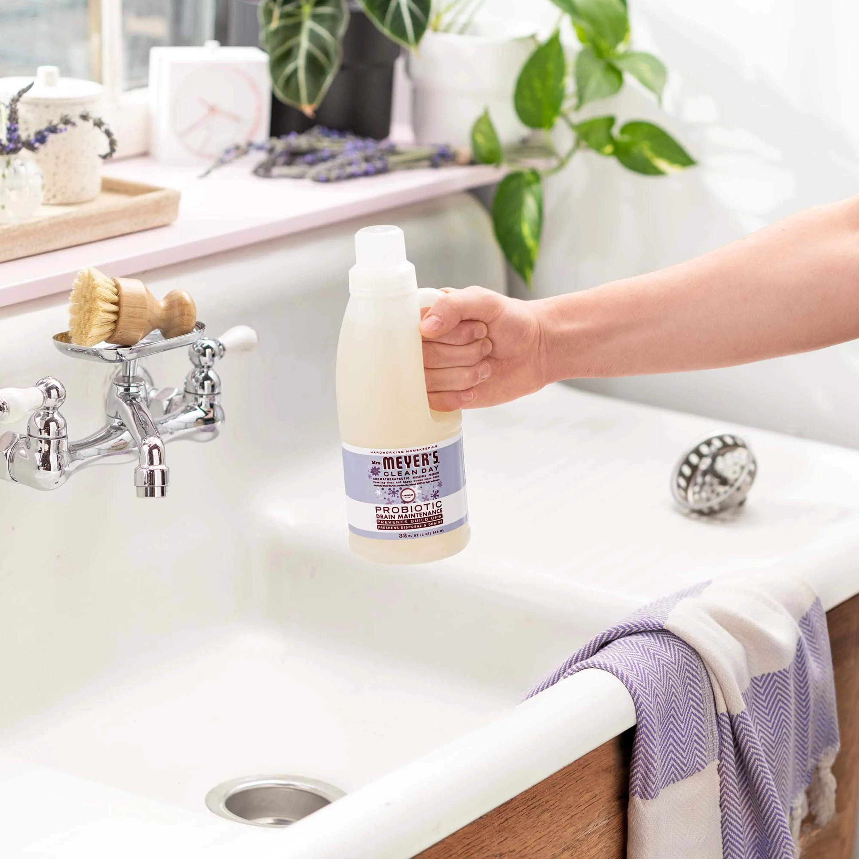 Probiotic Drain Maintenance - Image 5