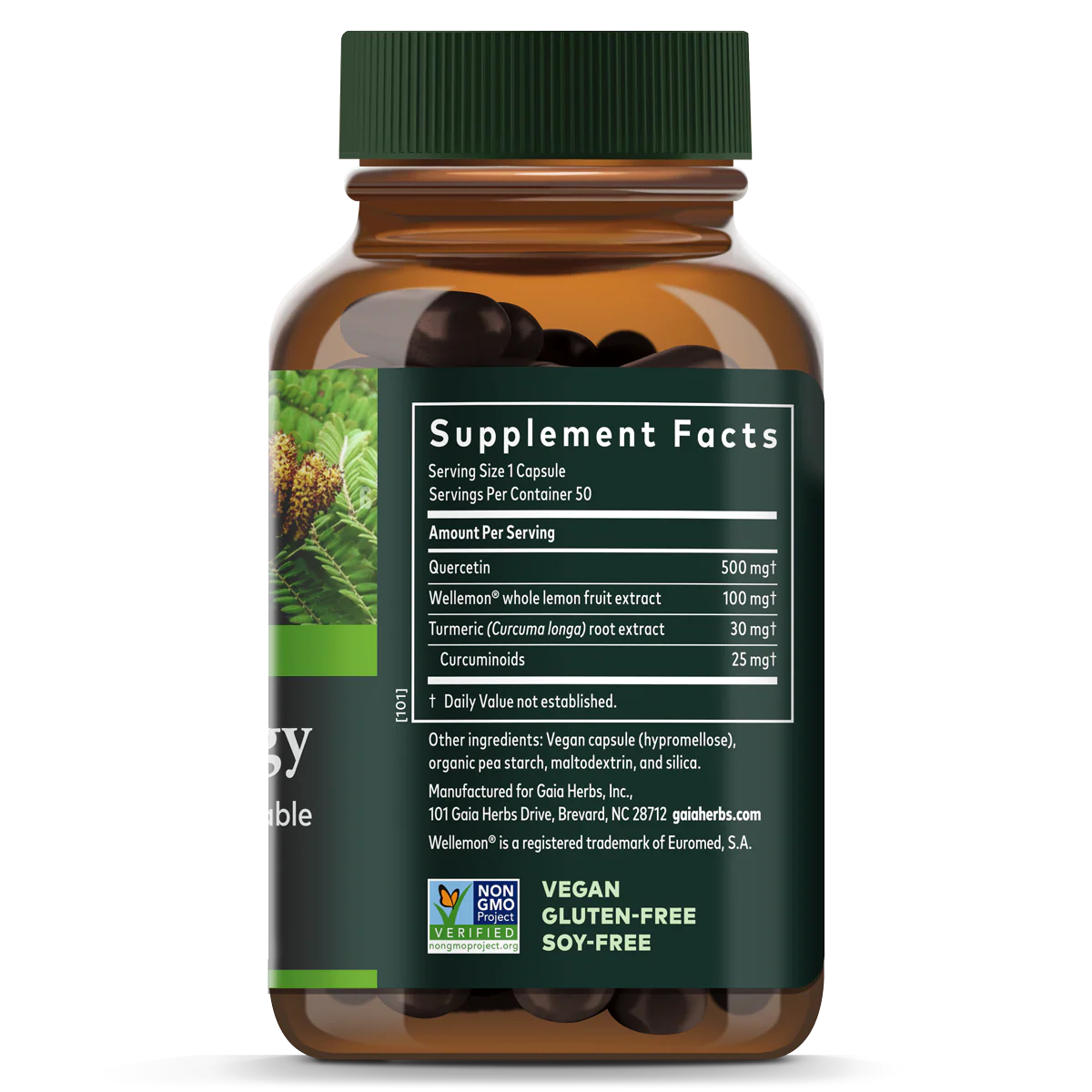 Quercetin Synergy - For Immune Support - Image 3