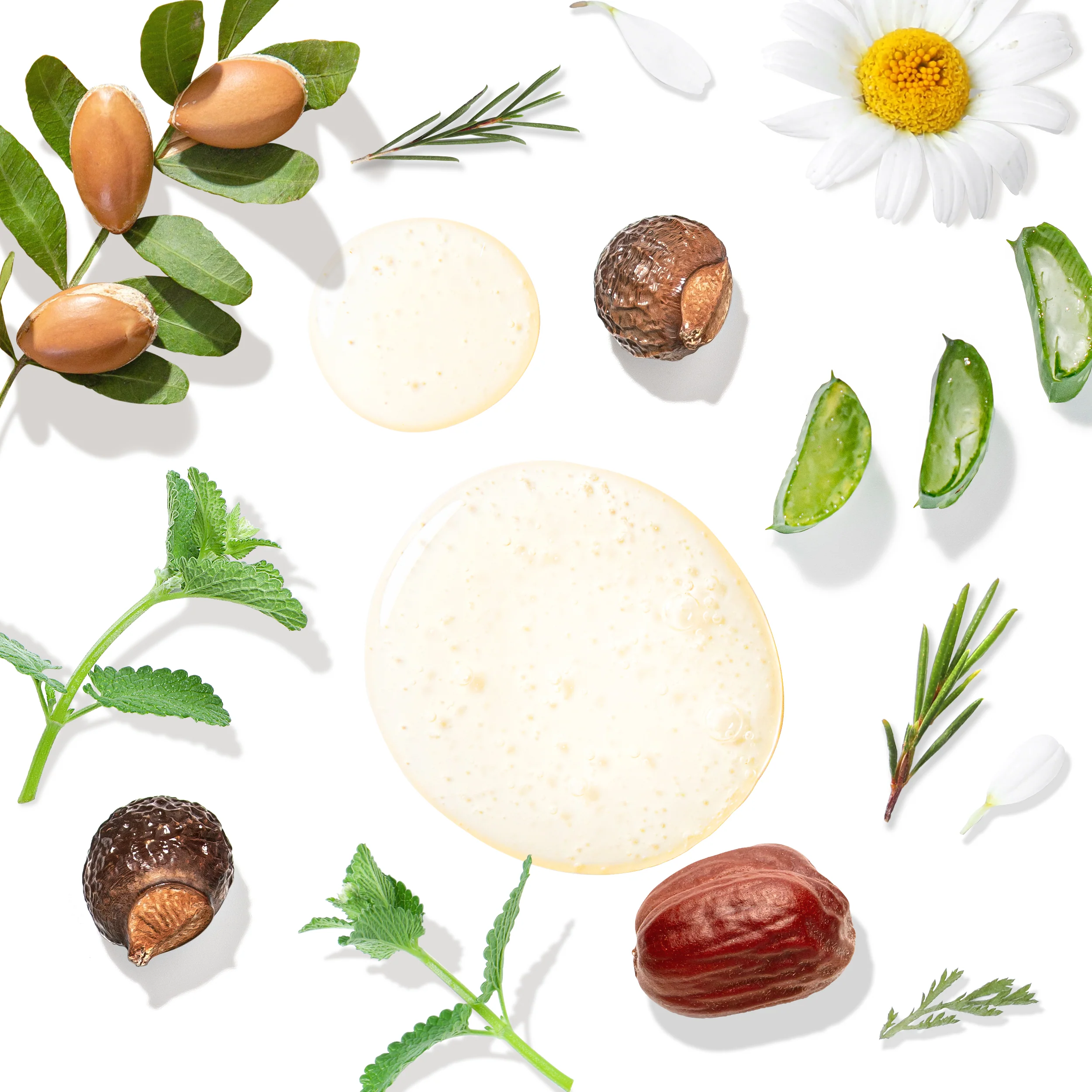 Clarifying Shampoo for Oily Hair & Sensitive Scalp - Image 3