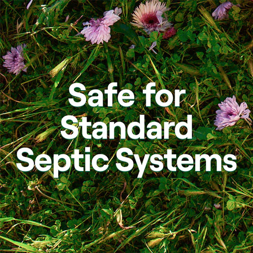 2-Ply Bathroom Tissue (240 sheets per roll) - Image 3