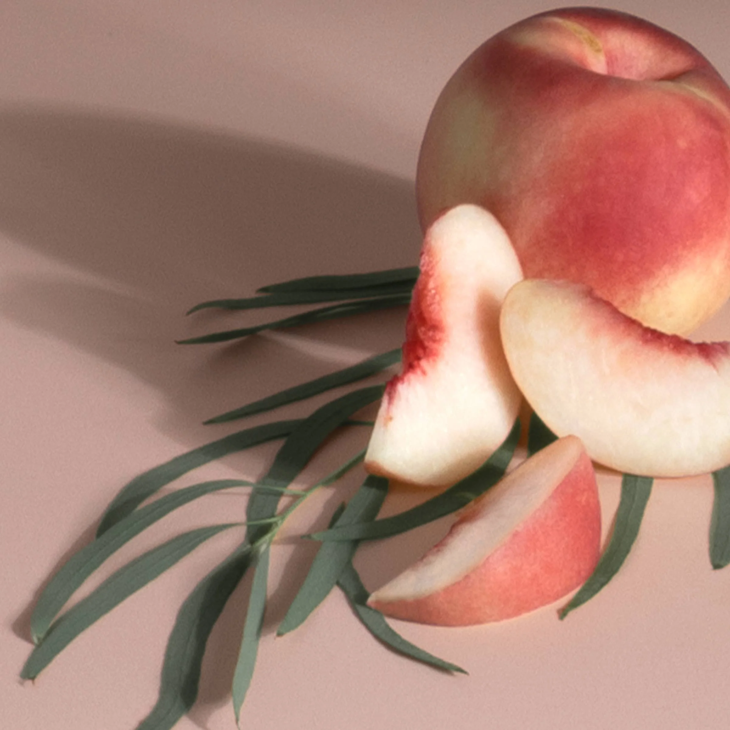 Stix Diffuser Air Freshener Starter Set - Grove Exclusive - Image 7