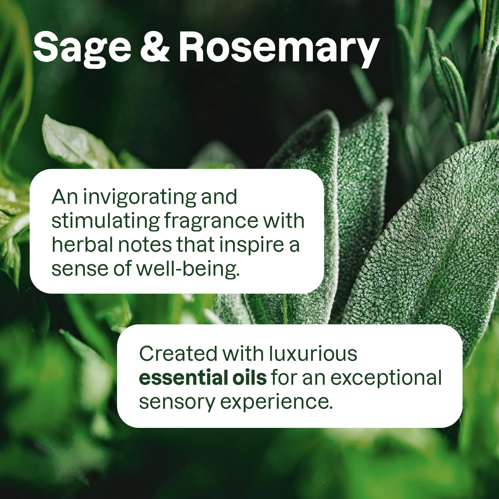 super leaves 2in1 Shampoo & Body Wash - Image 5