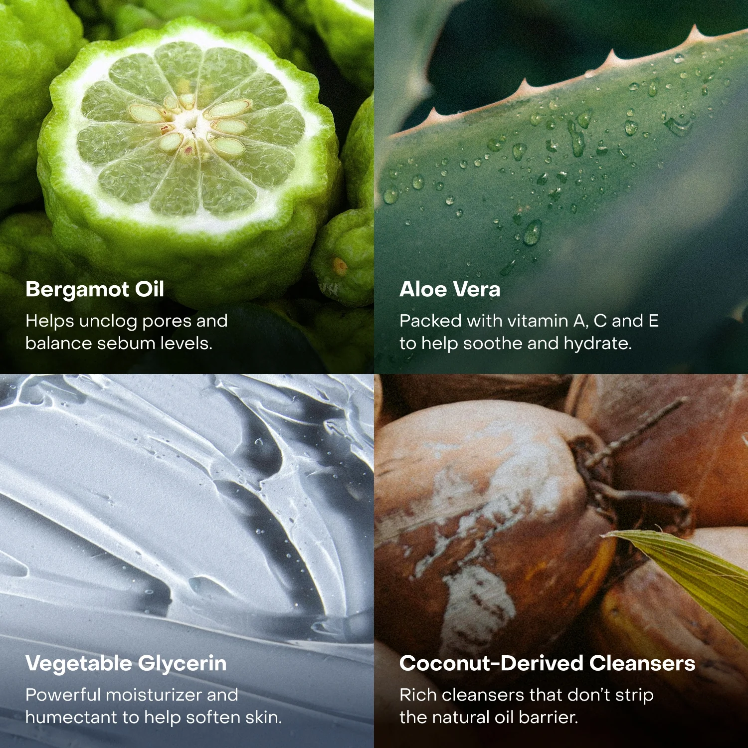 The Body Wash Concentrate - Image 6